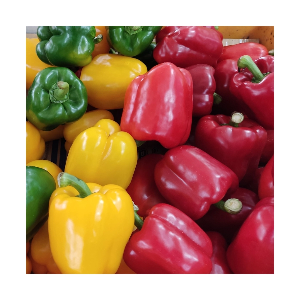 Colourful red, yellow and green peppers
